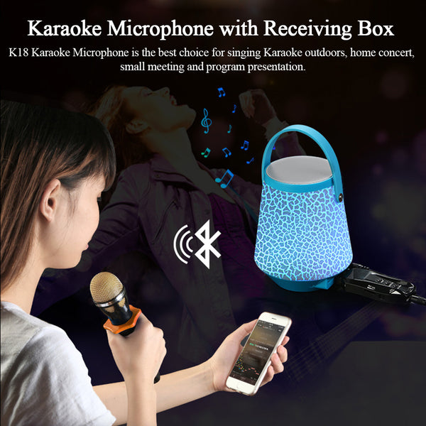 Karaoke Bluetooth Microphone with USB Receiver