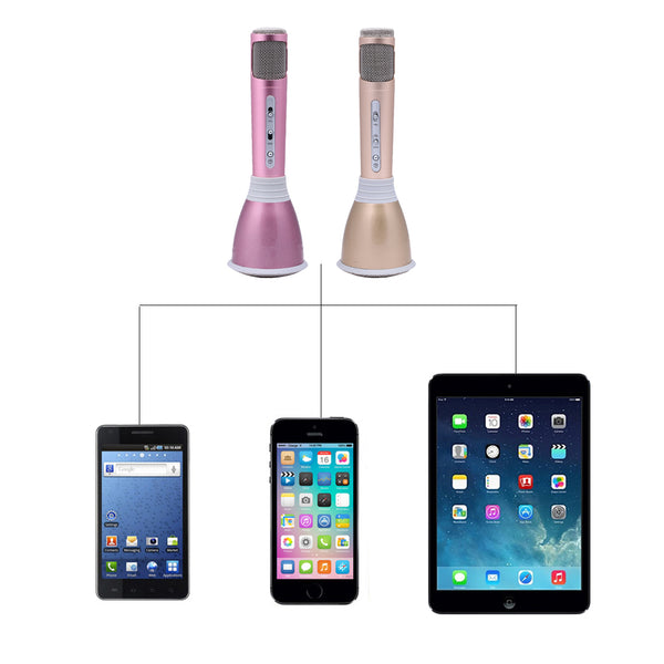 Mini Home Karaoke Microphone