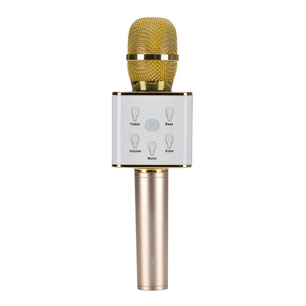 Portable Smart Karaoke Microphone